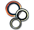 Oil Seals 2